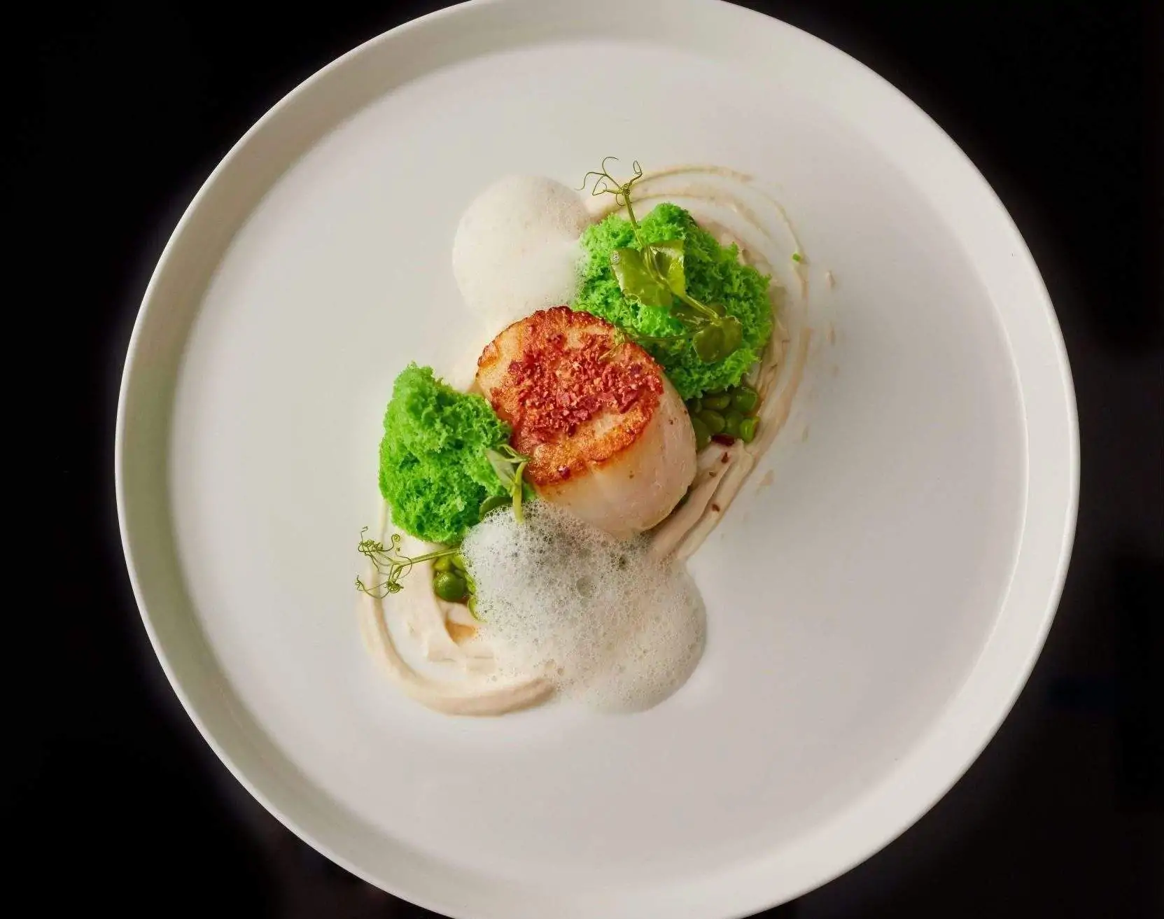 A white plate with a scallop, white mousse, and a green peas purée at Le Gavroche, a restaurant in London