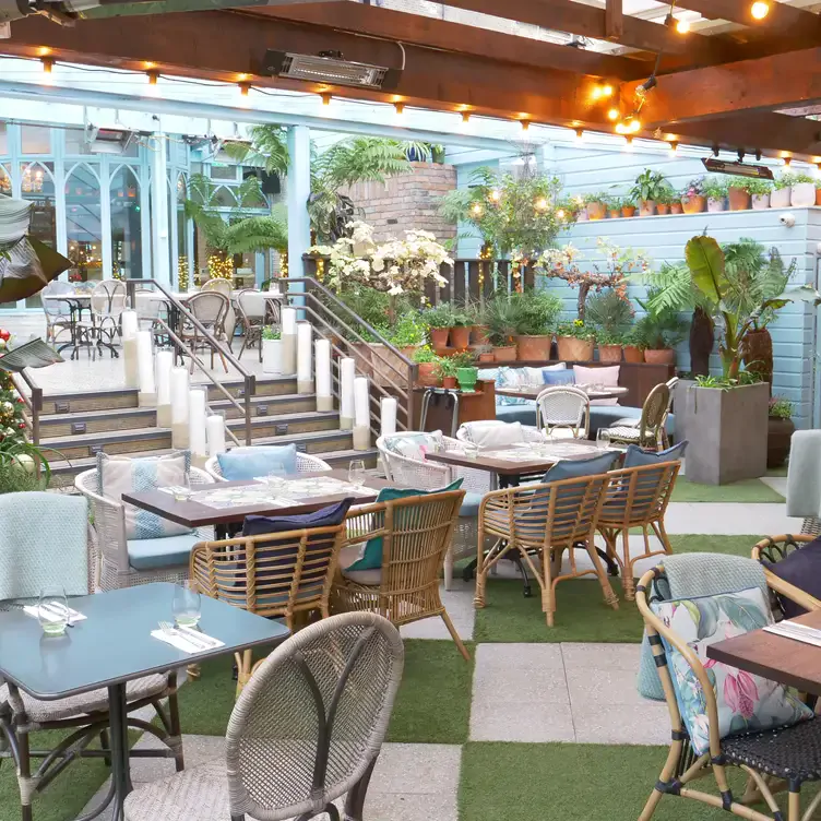 The sheltered semi-outdoor dining space at House Dublin with cushioned wicker chairs and lots of plants around the edges.