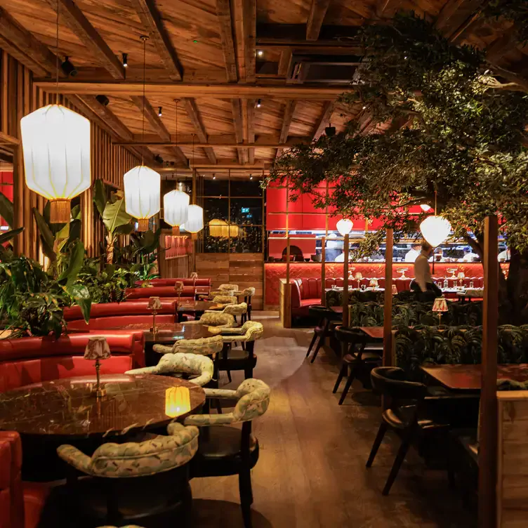 The wooden ceiling dining room and indoor trees at Mama Yo, one of the best restaurants Dublin 2.