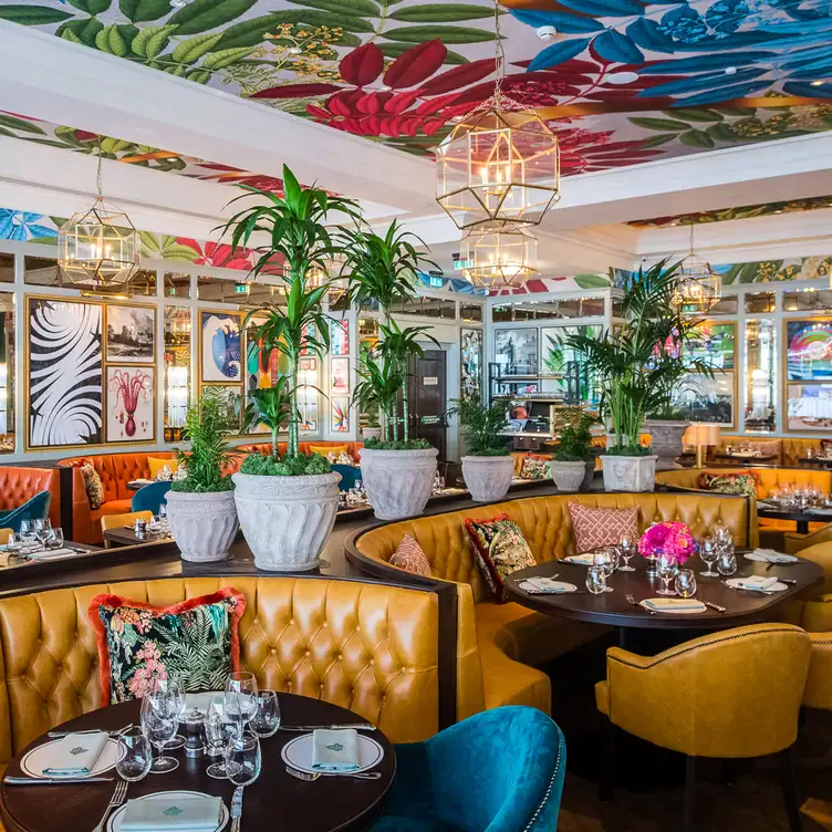 Booths with gold framed hanging lights and pot plants at The Ivy Dawson, one of south Dublin’s best restaurants.