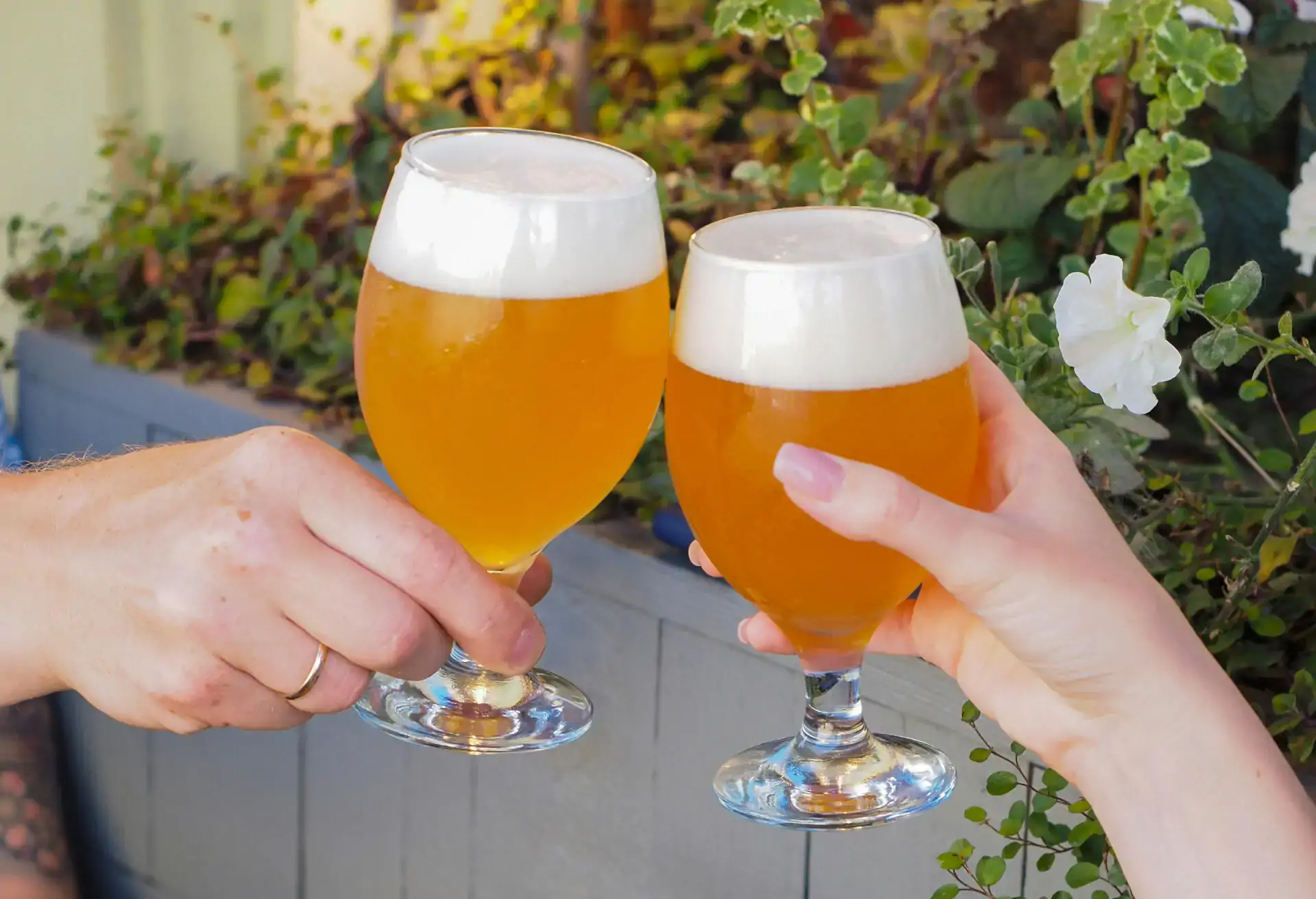 Two diners cheering with two pints of beer